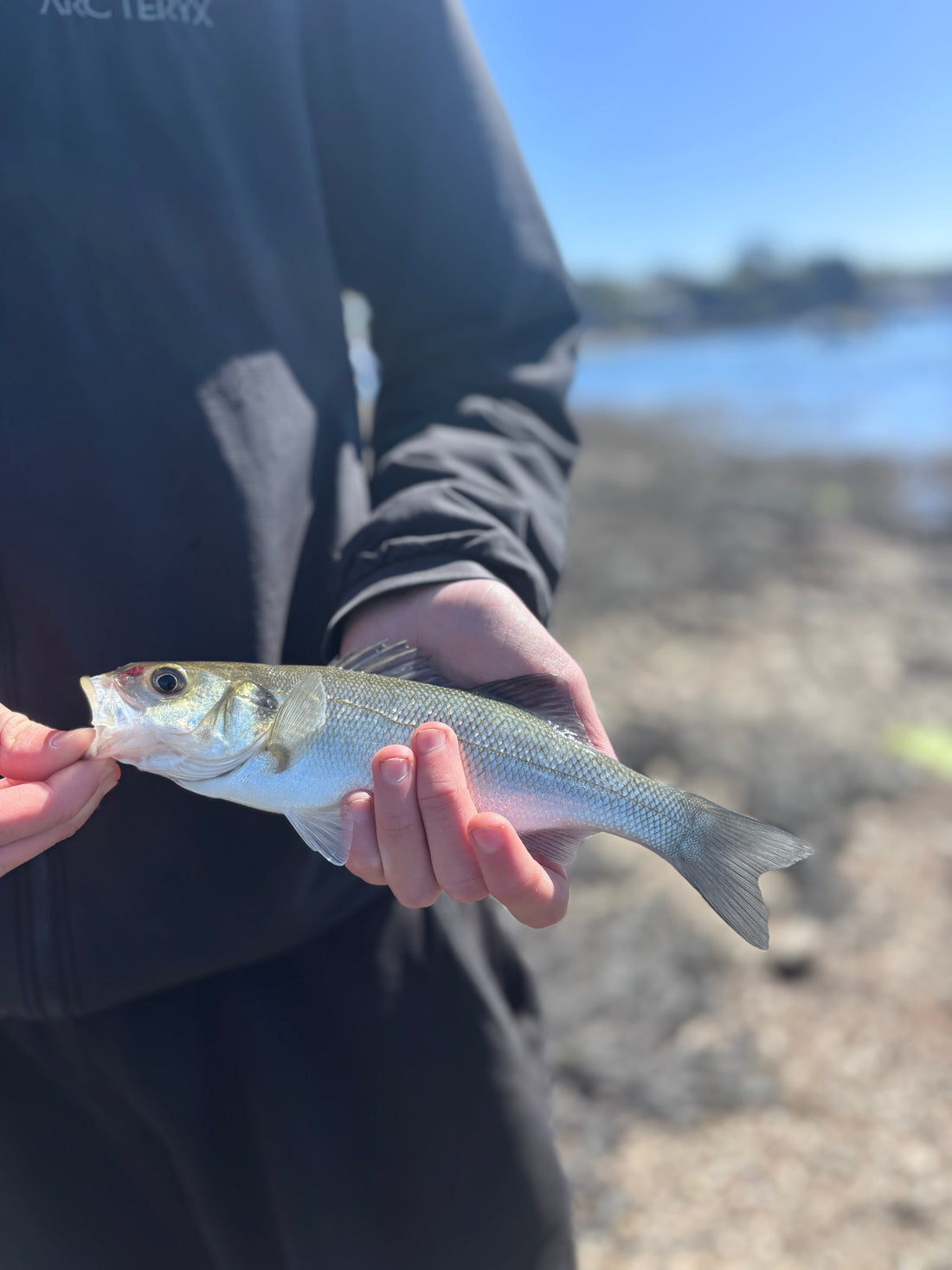 10 Things I Wish Someone Had Told Me When I Started Sea Fishing